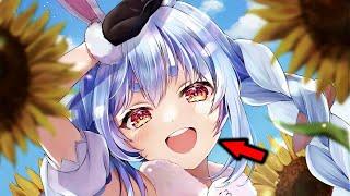 Rapid Rabbit Vtuber News - Vtuber Illness Belittled Pekora Look-alike Hololive Enters Spring