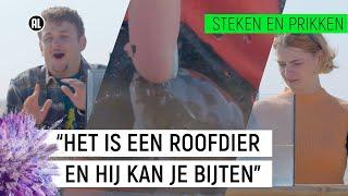 MEGA PALING GRIJPT VINGER  Steken en Prikken S2 #6  NPO Zapp