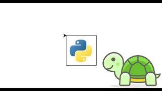 Python Turtle Drawing a Square
