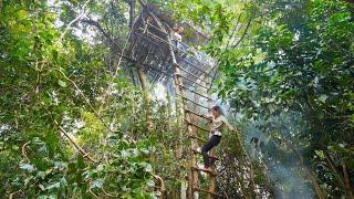 Amazing Girls Build Little Tree House Off Grid To Live Girl Living Off the Grid