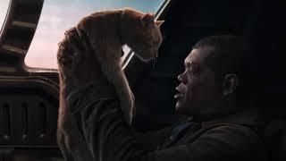 Goose Scratches Nick Furys Eye - Captain Marvel 2019 HD