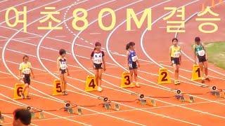 여자초등80m 결승 2019 소년체전 4학년부 #기영난 의 데뷔경기