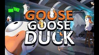 СТРИМ ПО Goose Goose Duck мы опять Гуси ....КРЯ ЗалетайПИАРОЦЕНКА