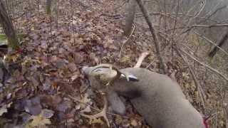 Jon Theis- 8 Point Buck- 2013- MN Deer Hunting