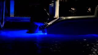 Tips from the Pros  Underwater Lights for Boats