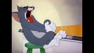 Tom and Jerry scream