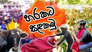 හරකට සළකමු - ගව පාලනය උගනිමු 