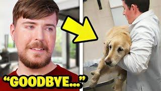 MOST EMOTIONAL YOUTUBER MOMENTS MrBeast Salish Matter DanTDM