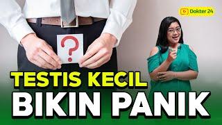 Dokter 24 - Ukuran Testis Kecil Jadi Tidak Subur??