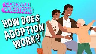 How Does Adoption Work?  COLOSSAL QUESTIONS