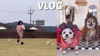 놀고 먹는 백수 VLOG🩷 일 그만 뒀습니다...