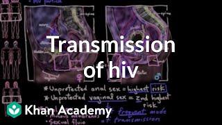 Transmission of HIV  Infectious diseases  NCLEX-RN  Khan Academy