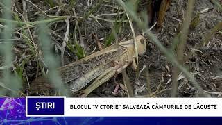 BLOCUL VICTORIE SALVEAZĂ CÂMPURILE DE LĂCUSTE