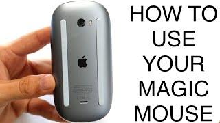 How To Use Your Magic Mouse Complete Beginners Guide