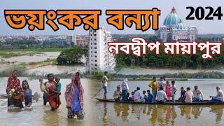 মায়াপুর নবদ্বীপ বন্যার পরিস্থিতি Mayapur Flooding #iskconmayapur #shuvojitvlogs #youtuber #minivlog