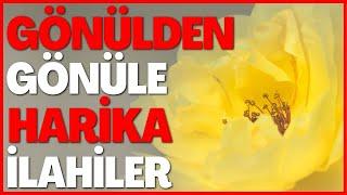  GÖNÜLDEN GÖNÜLE HARİKA İLAHİLER  SENSİN BİZDE HEP BULUNAN 