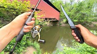 Eating Whatever I Catch.. Fishing a NEW Creek Catch and Cook