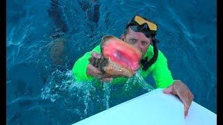 Queen Conch in The Exuma Cays Staniel Cay {Catch Clean Cook}