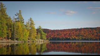 Algonquin Park Yours to Explore www.algonquinpark.on.ca