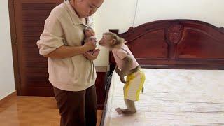 Jenny Deeply Sweet Welcome Newborn Baby Monkey In Home