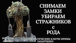 Снимаем ЗАМКИ и СТРАЖНИКОВ с РОДОВЫХ ПОРЧ ПРОКЛЯТИЙ ПРОГРАММ.