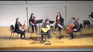 Vivaldi - Concerto for Lute and Strings