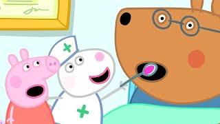 Peppa Pig Official Channel  Peppa Pig Looks after Doctor Brown Bear