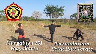 PSHT VS MARGALUYU 151 SAMBUNG PERSAUDARAAN  PENCAK SILAT