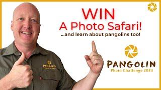 The Pangolin Photo Challenge 2023  WIN a photo safari