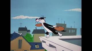 Tweety  Sylvester -name of episode The Jet Cage-Year of production 1962