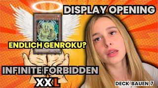 The Infinite Forbidden XXL Display Opening