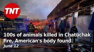 Hundreds of animals killed in Chatuchak fire Americans body found in Phuket -  June 12