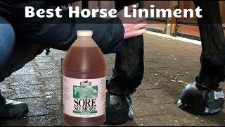 Best Horse Liniment - Expert Reviews Just Only For You 2021