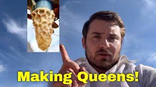 How to Make Queen Bees - Made SIMPLE