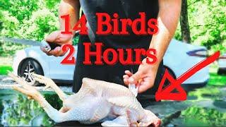 Chicken Processing From Start To Finish  Step By Step With Cost  Simple & Easy