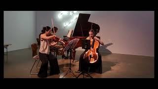 Trio Accordées - Maurice Ravel Trio in A minor 2. Pantoum