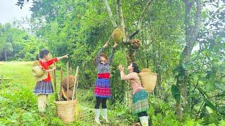 Night falls and the three orphan sisters go about their daily life catching snails.