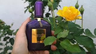 Velvet Orchid by Tom Ford