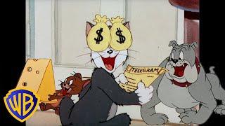 Tom et Jerry en Français   La journée porte-bonheur   @WBKidsFrancais​