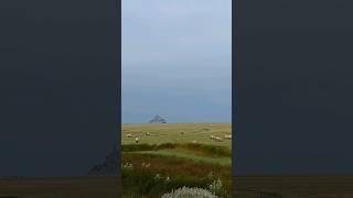 Capturing Mont Saint Michels Finest View Amidst Tranquil Sheep
