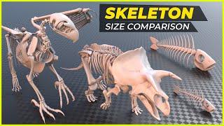 Animal without Muscles size comparison  Skeletons size