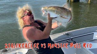 StaleKracker vs Monster Bull Red On Cajun Fly Rod