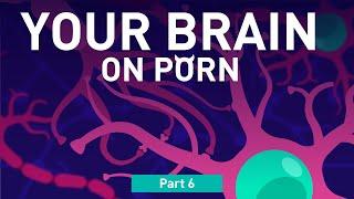 Part 6 Numbed Pleasure Response  Your Brain on Porn  Animated Series