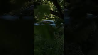Hidden car in a forest - Why was it left here?  #blender3d #outdoors #car