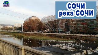  Город Сочи. Центр. Река Сочи. Прогулка по набережной. DIY & DACHA. LIVE & TRAVEL 49