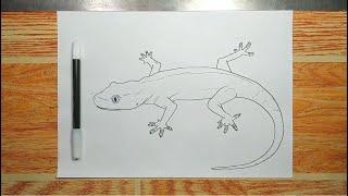 How to draw HOUSE LIZARD step by step
