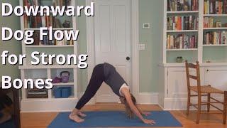 Downward Dog Yoga Flow for Strong Bones