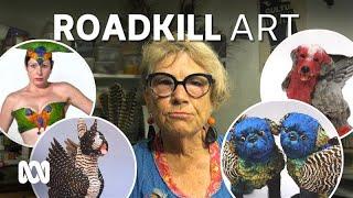 Roadkill artist uses feathers to bring works to life   ABC Australia