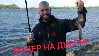 Поклёвки на Днепре. Фидер. Кременчуг 06.06.2020