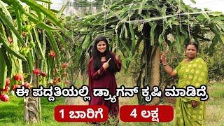 How To Start Dragon Fruit Farming? Investment Profit & Marketing Tips  Dragon Fruit Cultivation